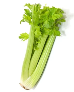 Seminte Telina de tulpina, ideala pentru consum proaspat in salate, 5 grame, Opal